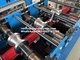 Corte hidráulico de 50 Hz de panel de pared de rollo de la máquina de formación de la cadena impulsada